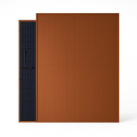 Trina Vertex S+ 440W TSM-NEG9R.28 Doppelglas